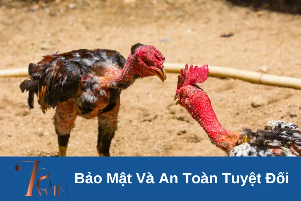 Đá gà Philippines